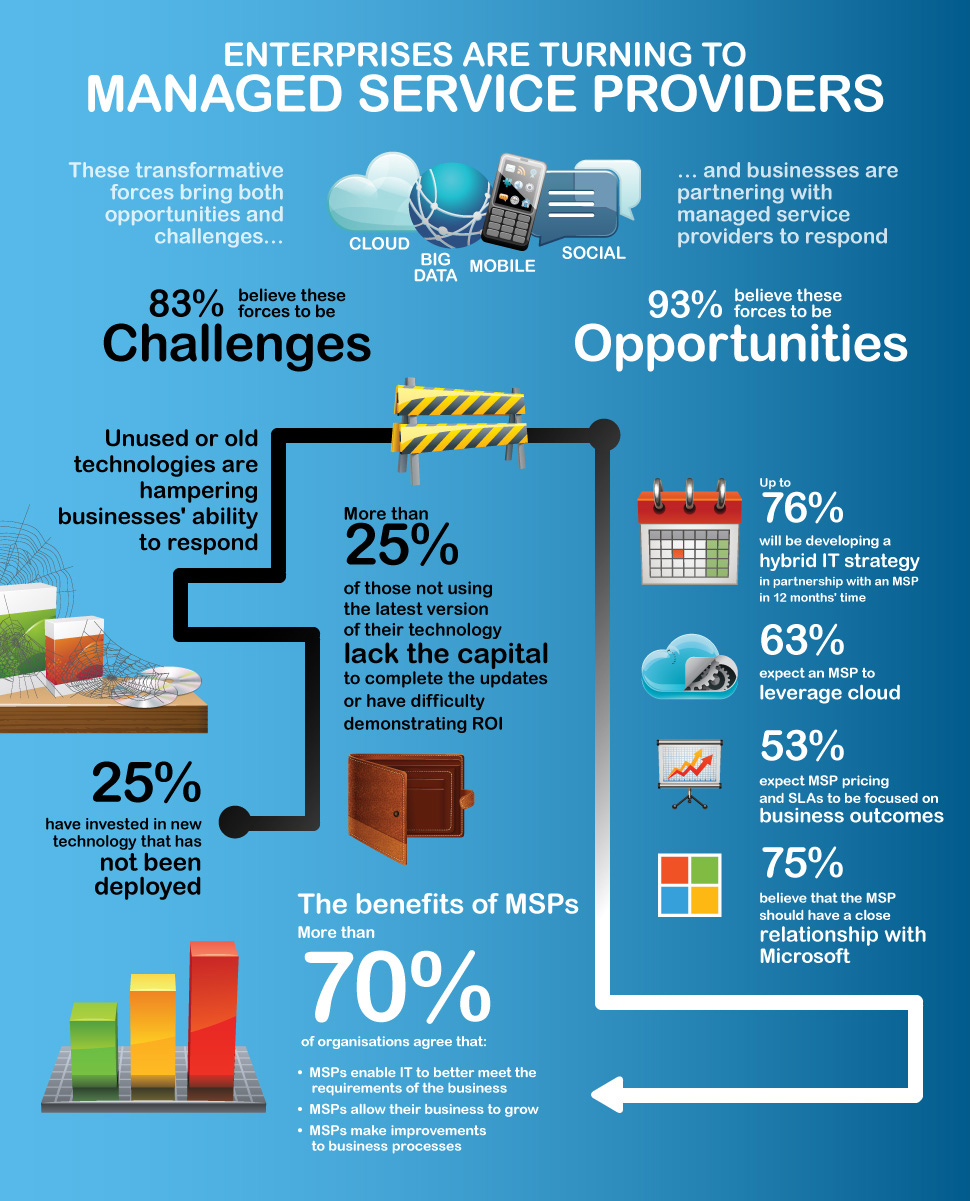 IT Consultancy